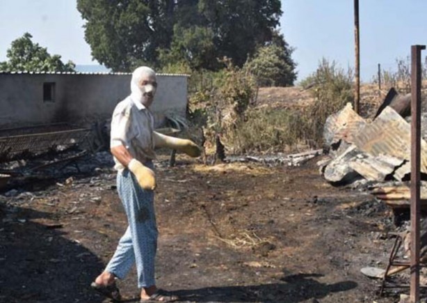 Hayvan sevgisi bu hale getirdi