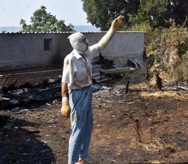 Foto - Hayvan sevgisi bu hale getirdi