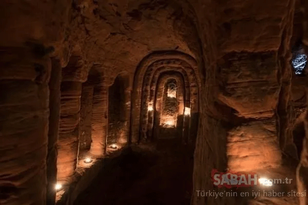 Foto - Hayvan yuvası sandığı deliğin ardından çıkanlar tüyler ürpertti! İşte dünyanın konuştuğu o kareler