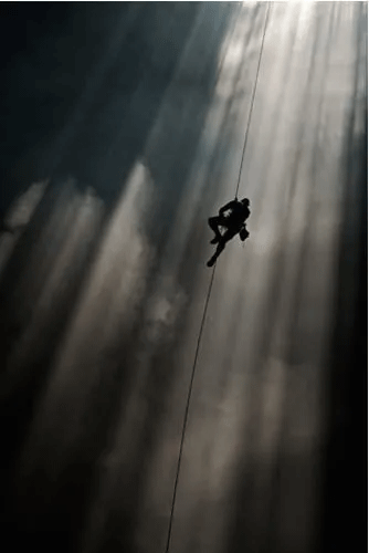 Foto - Hayvan yuvası sandığı deliğin ardından çıkanlar tüyler ürpertti! İşte dünyanın konuştuğu o kareler