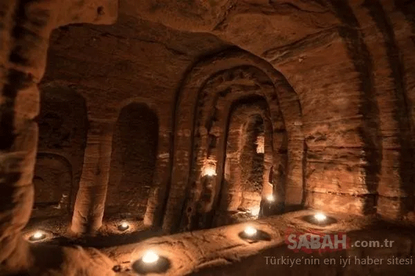 Foto - Hayvan yuvası sandığı deliğin ardından çıkanlar tüyler ürpertti! İşte dünyanın konuştuğu o kareler