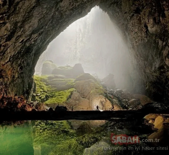 Foto - Hayvan yuvası sandığı deliğin ardından çıkanlar tüyler ürpertti! İşte dünyanın konuştuğu o kareler