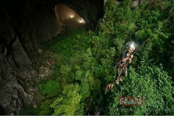 Foto - Hayvan yuvası sandığı deliğin ardından çıkanlar tüyler ürpertti! İşte dünyanın konuştuğu o kareler