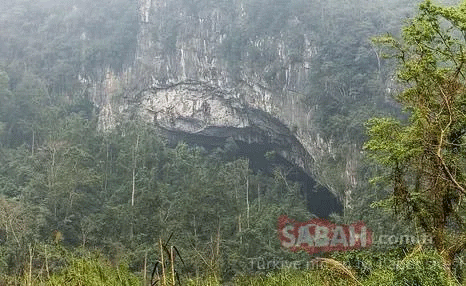 Foto - Hayvan yuvası sandığı deliğin ardından çıkanlar tüyler ürpertti! İşte dünyanın konuştuğu o kareler