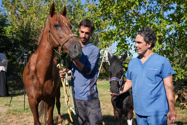 Foto - Hayvancılık için önemli adım! Türkiye'nin ilk tüp tayı görüntülendi