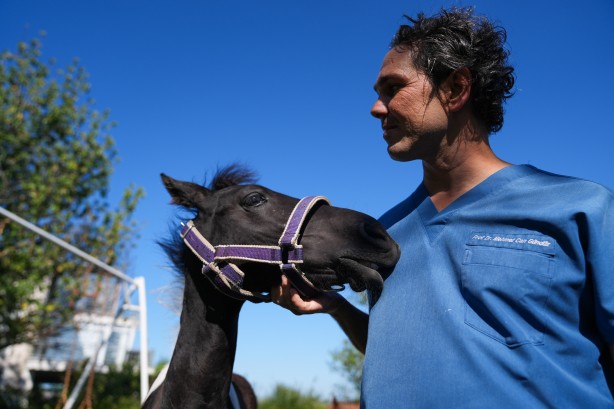 Foto - Hayvancılık için önemli adım! Türkiye'nin ilk tüp tayı görüntülendi