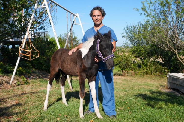 Foto - Hayvancılık için önemli adım! Türkiye'nin ilk tüp tayı görüntülendi
