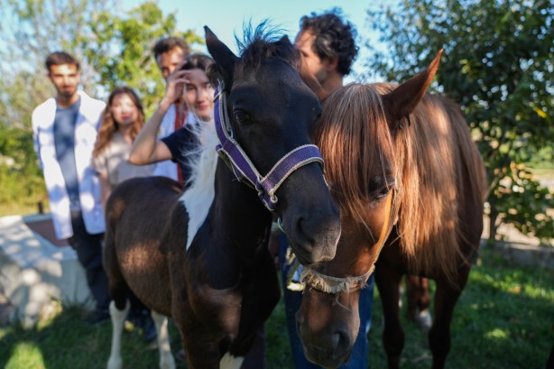 Foto - Hayvancılık için önemli adım! Türkiye'nin ilk tüp tayı görüntülendi