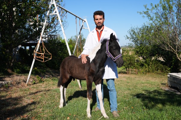 Foto - Hayvancılık için önemli adım! Türkiye'nin ilk tüp tayı görüntülendi
