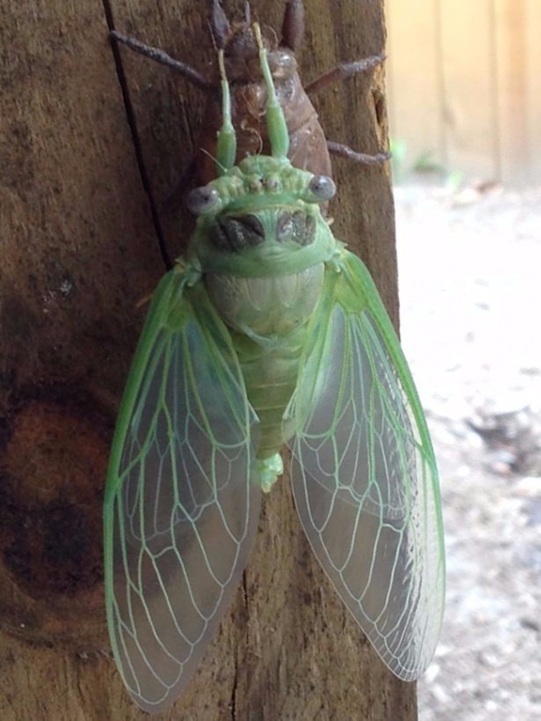 Foto - Hayvanlar aleminden inanılmaz anlar
