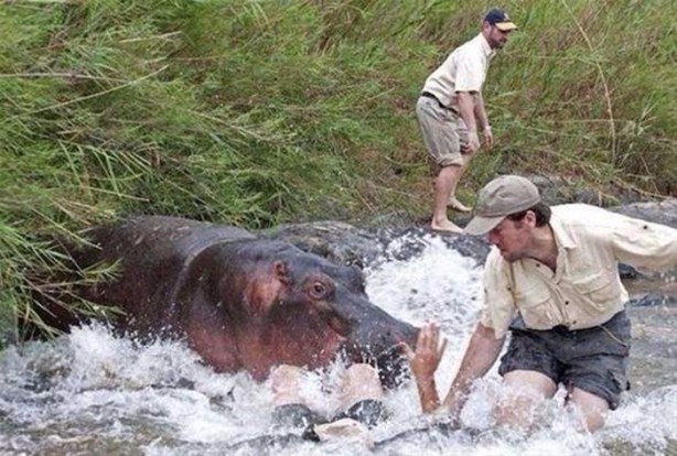 Foto - Hayvanlar aleminden inanılmaz anlar