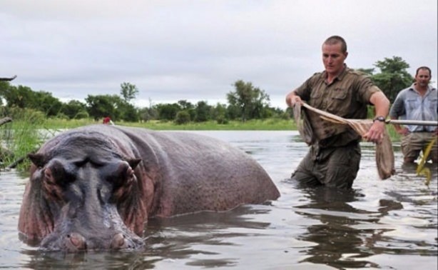 Foto - Hayvanlar aleminden inanılmaz anlar