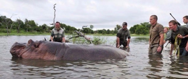 Foto - Hayvanlar aleminden inanılmaz anlar