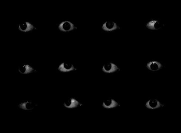 Foto - Hayvanlar aleminin en ilginci! 1000 tane gözü var, 1'inden kaçsa diğeri hemen yakalıyor