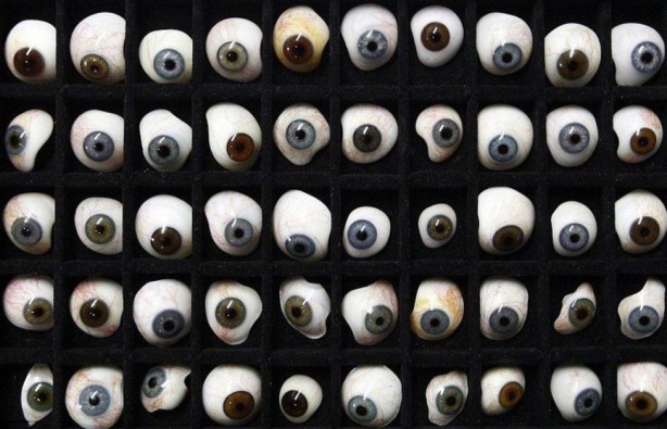 Foto - Hayvanlar aleminin en ilginci! 1000 tane gözü var, 1'inden kaçsa diğeri hemen yakalıyor