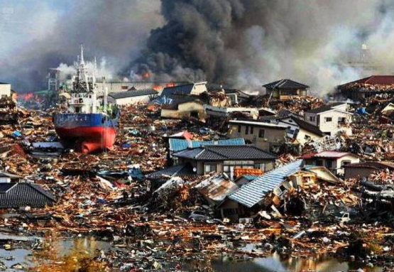 Foto - Hayvanlar depremi önceden nasıl hisseder? Bilim insanları açıkladı: İşte nedeni