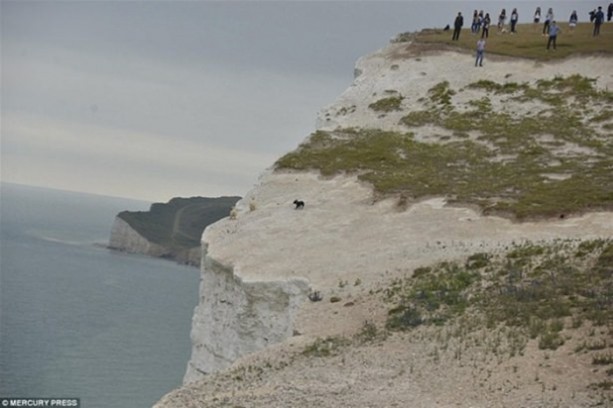 Foto - Hayvanlar dünyasından vahşi görüntüler!