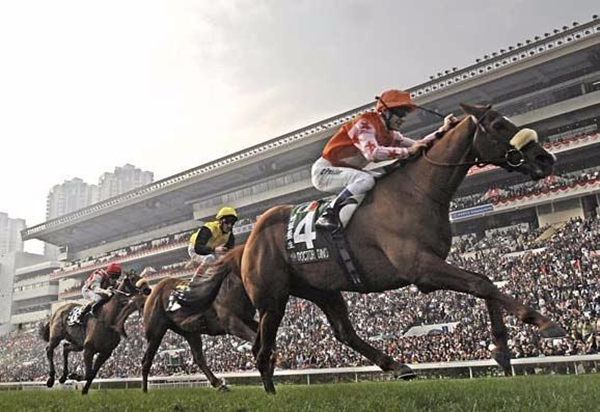 Foto - Hayvanlar hakkında duyduklarınıza inanamayacaksınız!