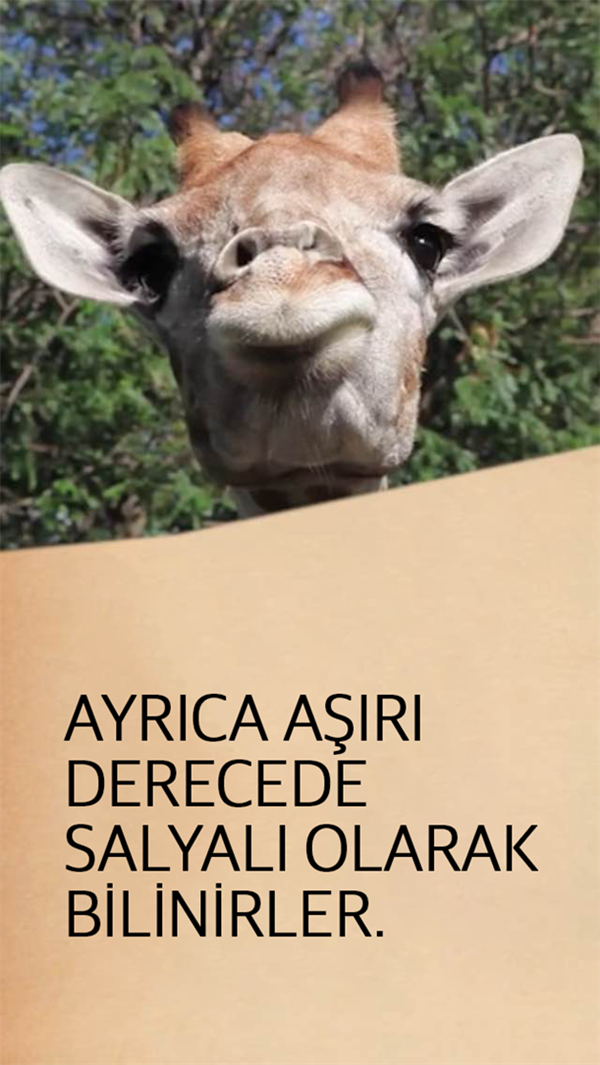 Foto - Hayvanlar hakkında ilginç ve mide bulandırıcı bilgiler