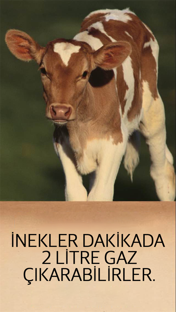 Foto - Hayvanlar hakkında ilginç ve mide bulandırıcı bilgiler