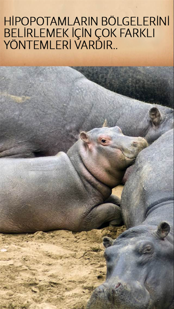 Foto - Hayvanlar hakkında ilginç ve mide bulandırıcı bilgiler