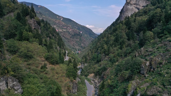Foto - Hayvanlar rahat su içsin diye bakın ne yaptı