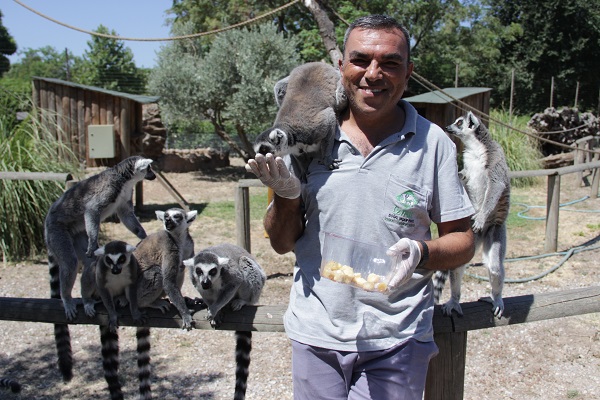 Foto - Hayvanlar sıcaklara bakın böyle dayanıyor! 