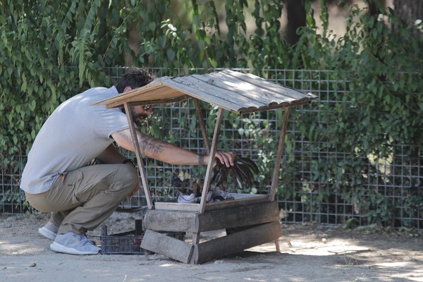 Foto - Hayvanlar sıcaklara bakın böyle dayanıyor! 