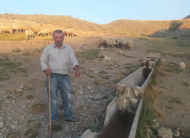 Foto - Hayvanlar suç içmesin diye… Çobanı şaşkına çeviren vicdansızlık