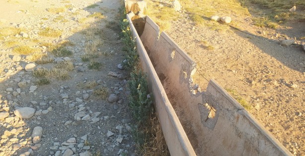 Foto - Hayvanlar suç içmesin diye… Çobanı şaşkına çeviren vicdansızlık