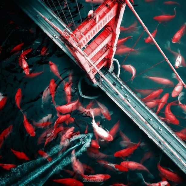 Foto - Hayvanlara photoshop yapan sanatçıdan 25 çalışma