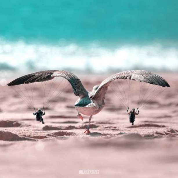 Foto - Hayvanlara photoshop yapan sanatçıdan 25 çalışma