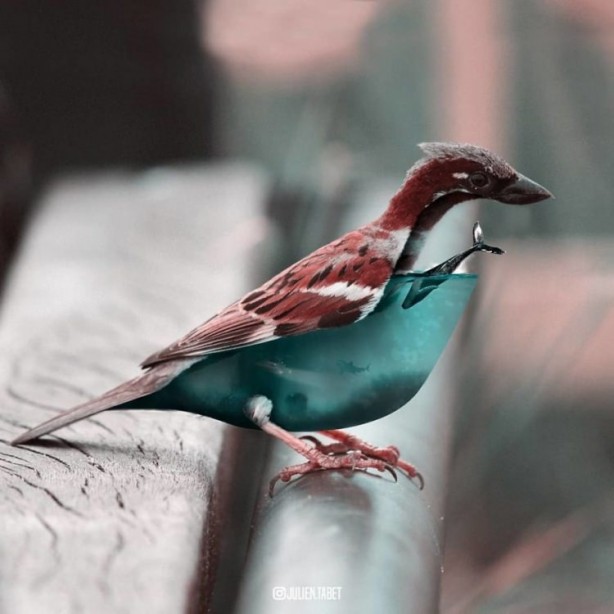 Foto - Hayvanlara photoshop yapan sanatçıdan 25 çalışma