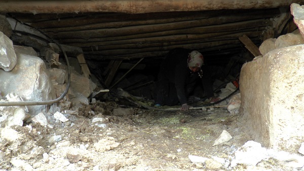 Foto - Hayvanları göçük altında kaldı! Canını hiçe sayıp her gün enkaz altına giriyor