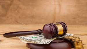 Foto - Hayvanları Koruma Kanunu maddeleri nelerdir?