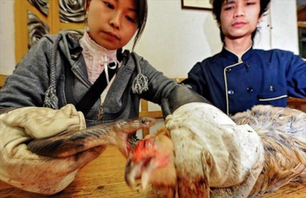 Foto - Aslanın bu haline çok güleceksiniz!