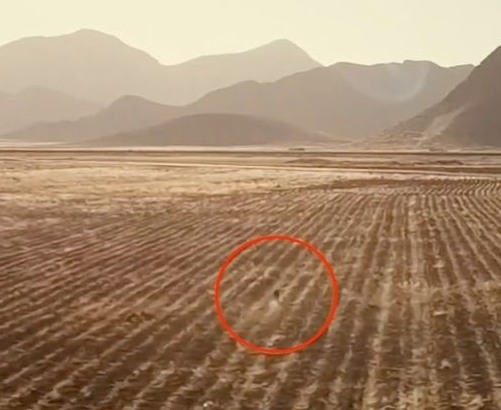 Foto - Hayvanların gözünü oyan gizemli yaratık kameraya yakalandı! Köylünün gözüne uyku girmiyor