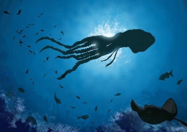 Foto - Hayvanların inşa ettiği mucizevi yapılar!