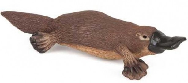 Foto - Hayvanların inşa ettiği mucizevi yapılar!