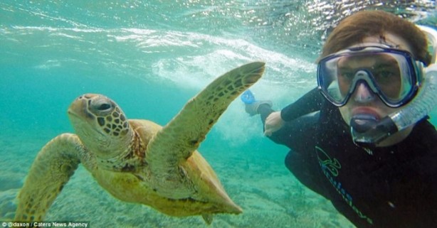 Foto - Hayvanlarla selfie çekilen adam