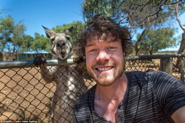 Foto - Hayvanlarla selfie çekilen adam