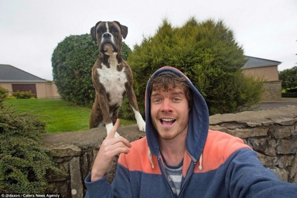 Foto - Hayvanlarla selfie çekilen adam