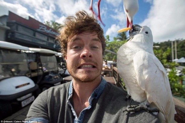 Foto - Hayvanlarla selfie çekilen adam