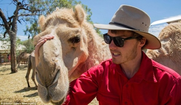 Foto - Hayvanlarla selfie çekilen adam