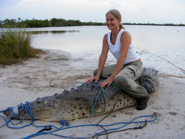 Foto - Hayvanlarla insanların tehlikeli yakınlaşması!