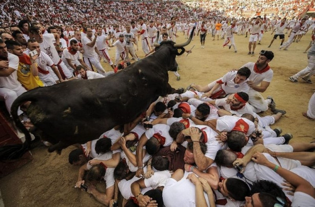 Foto - Hayvanlarla insanların tehlikeli yakınlaşması!
