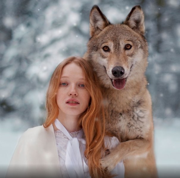 Foto - Hayvanlarla insanların tehlikeli yakınlaşması!