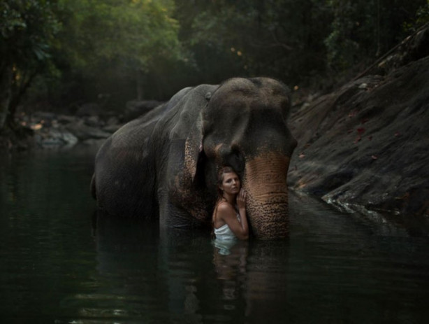 Foto - Hayvanlarla insanların tehlikeli yakınlaşması!