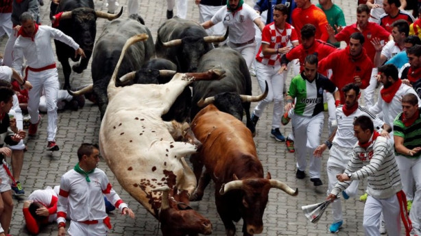 Foto - Hayvanlarla insanların tehlikeli yakınlaşması!