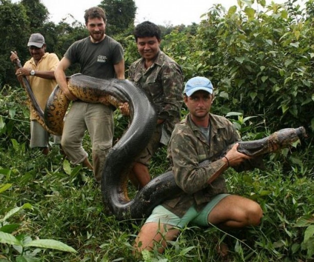 Foto - Hayvanlarla insanların tehlikeli yakınlaşması!